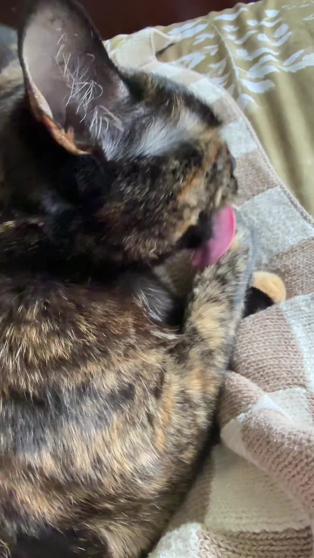 @sqrrlgrl