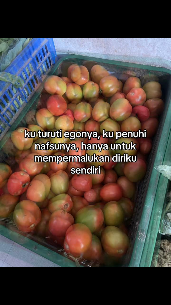 @Gabut
