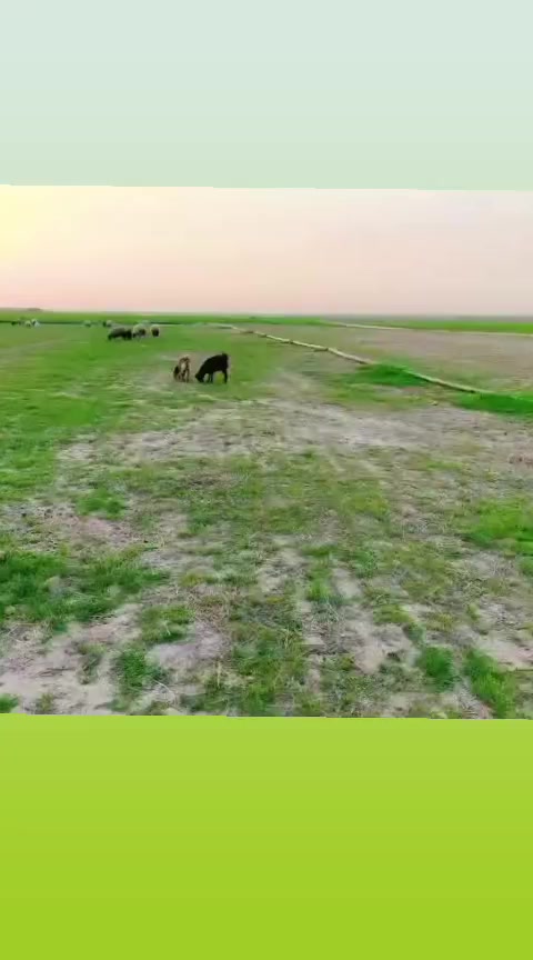@خالد ابن العطيه