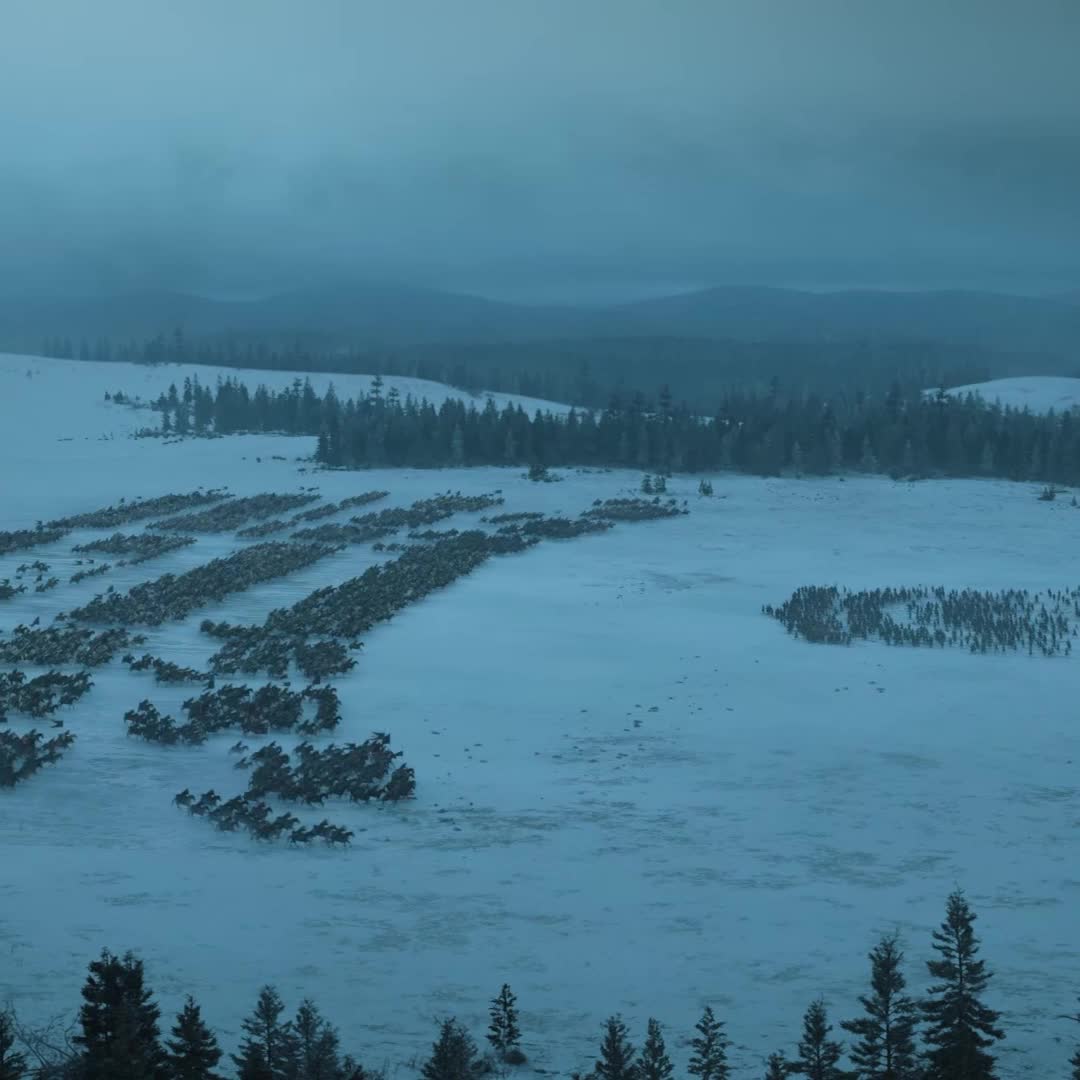 @Ser Azor