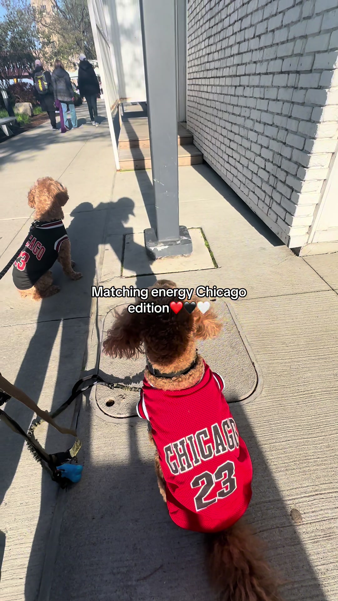 @taylorrj_ | Chicago Creator
