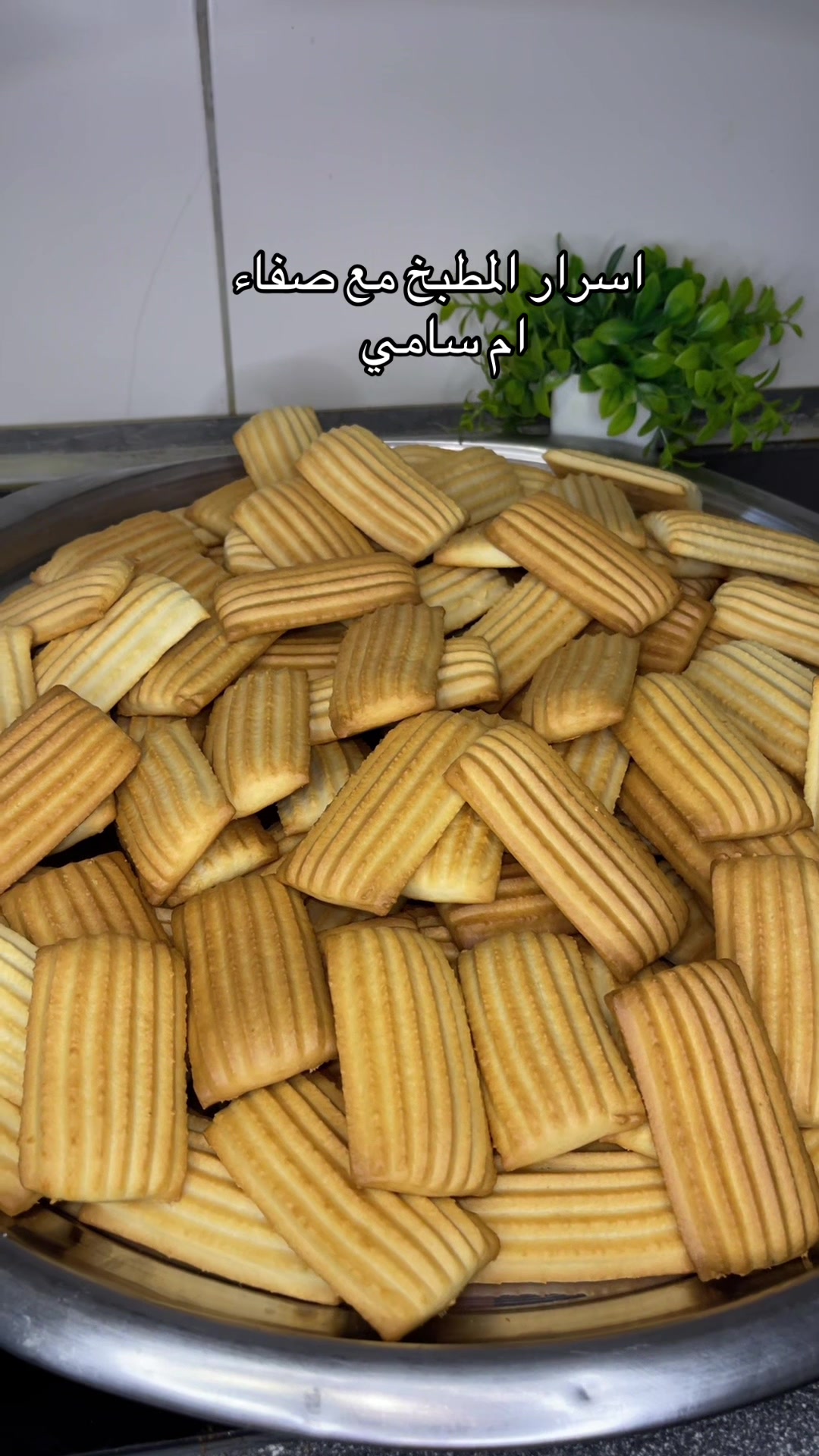 @صفاء ام سامي