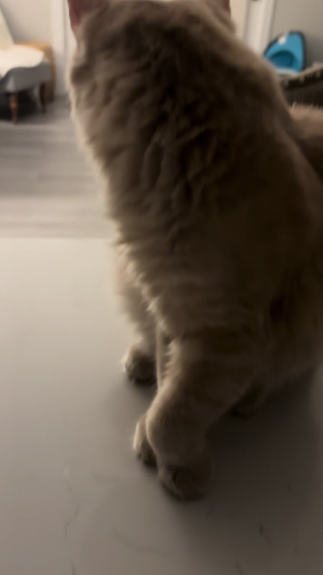 @SARAGRACE