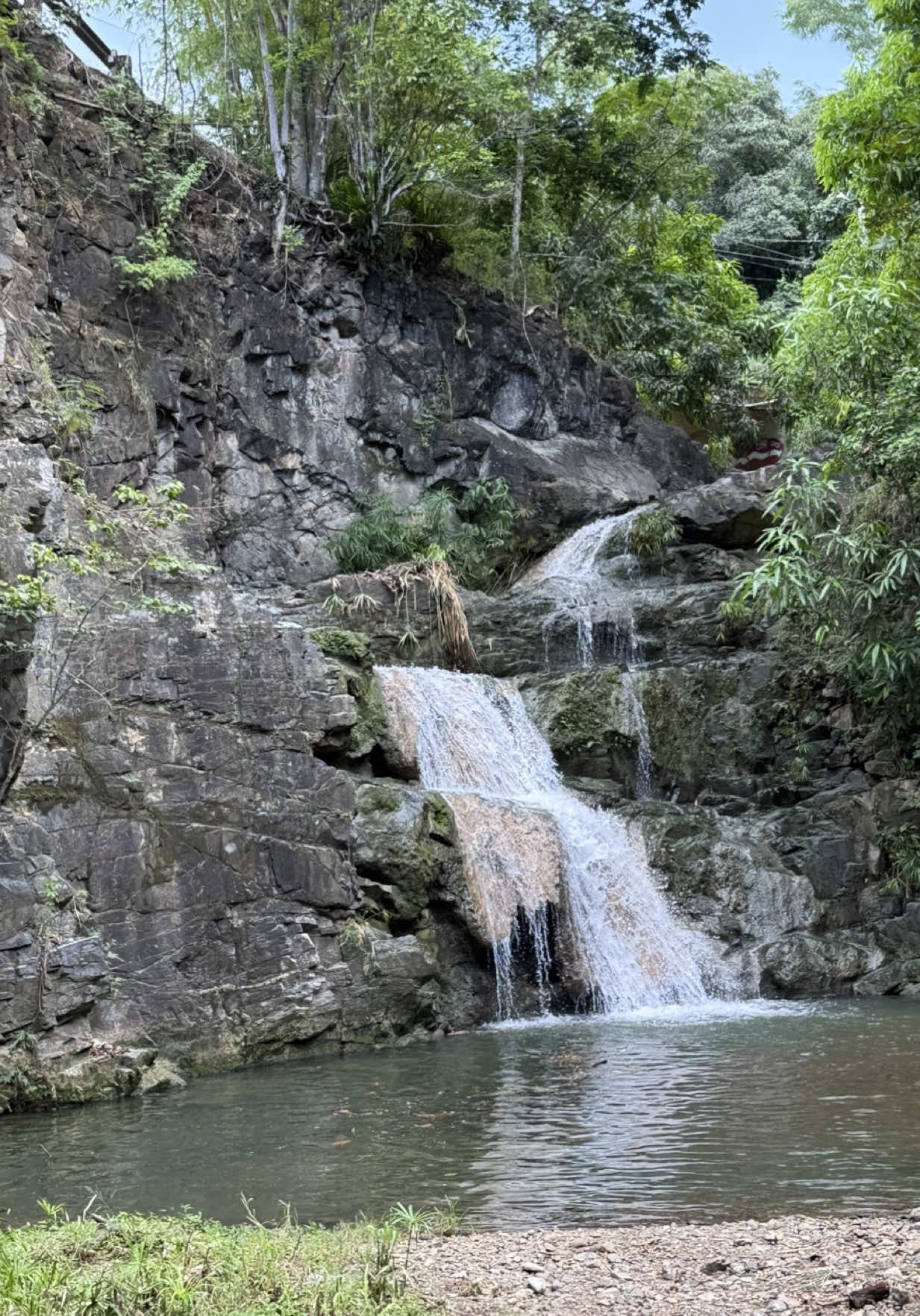 @Belton Tyrone 🇵🇷