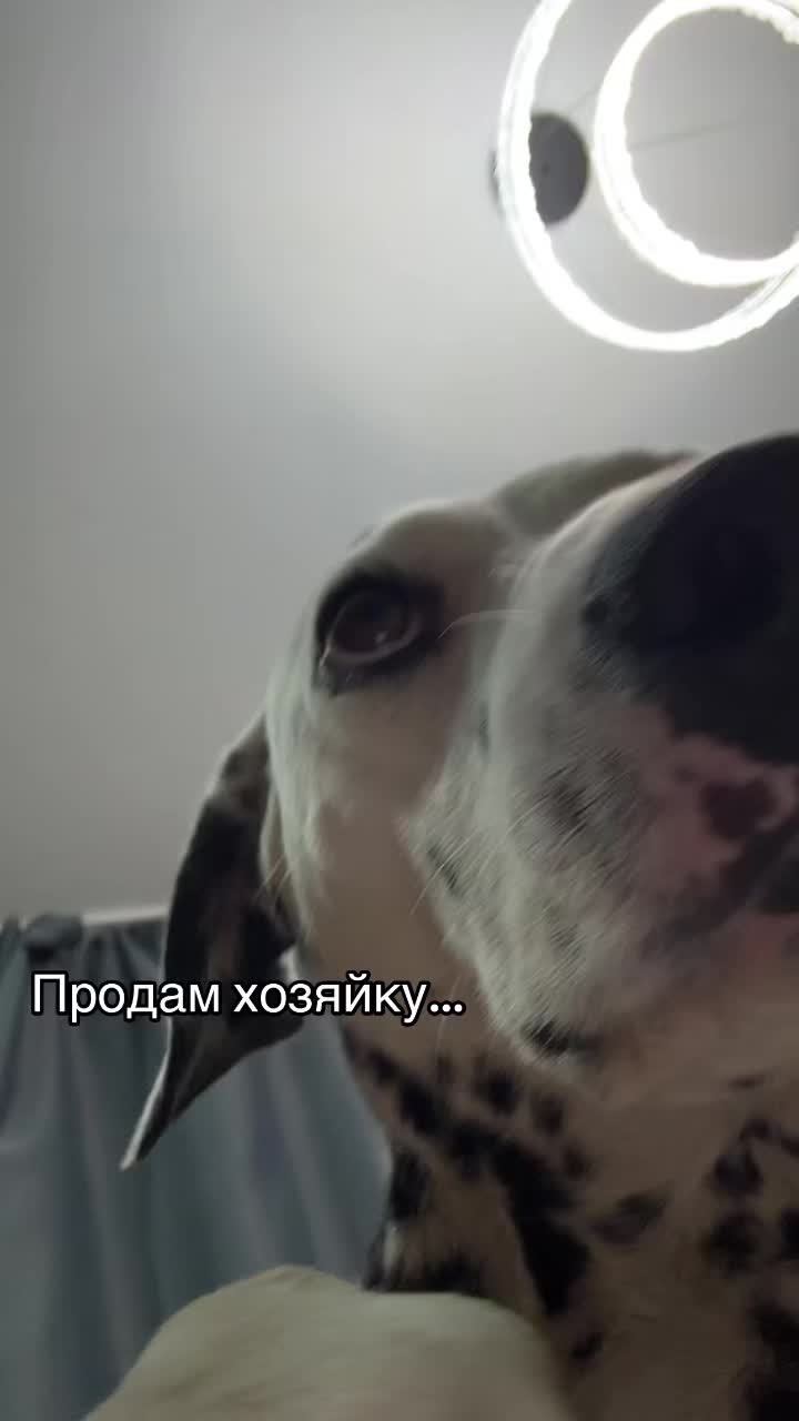 @nik