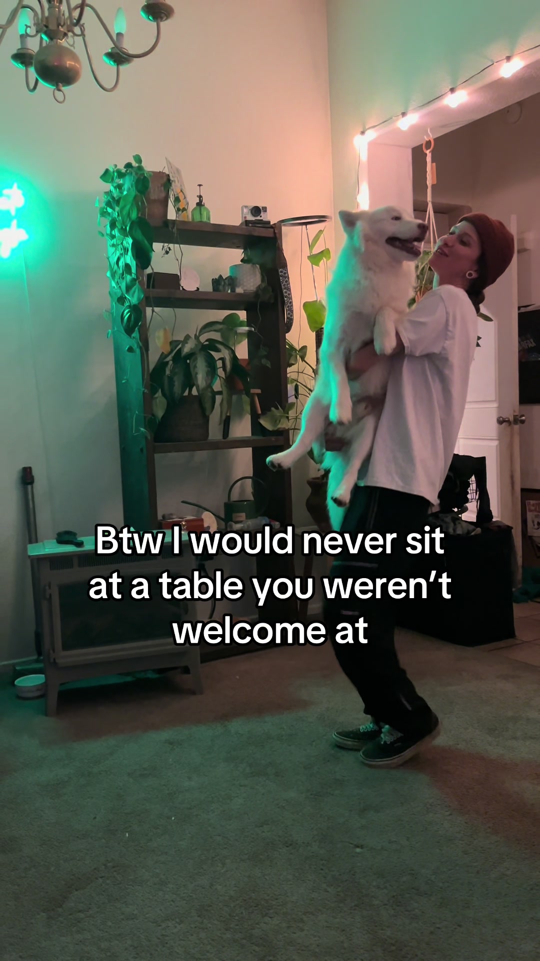 @Alex Solo