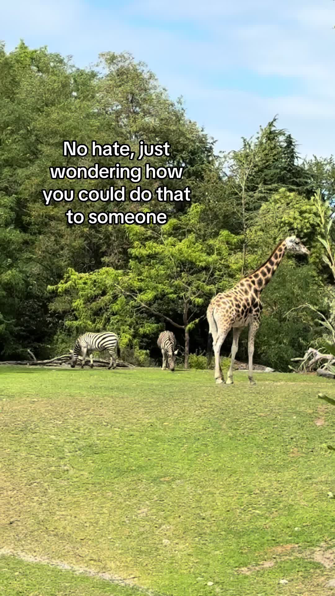 @Elizabeth