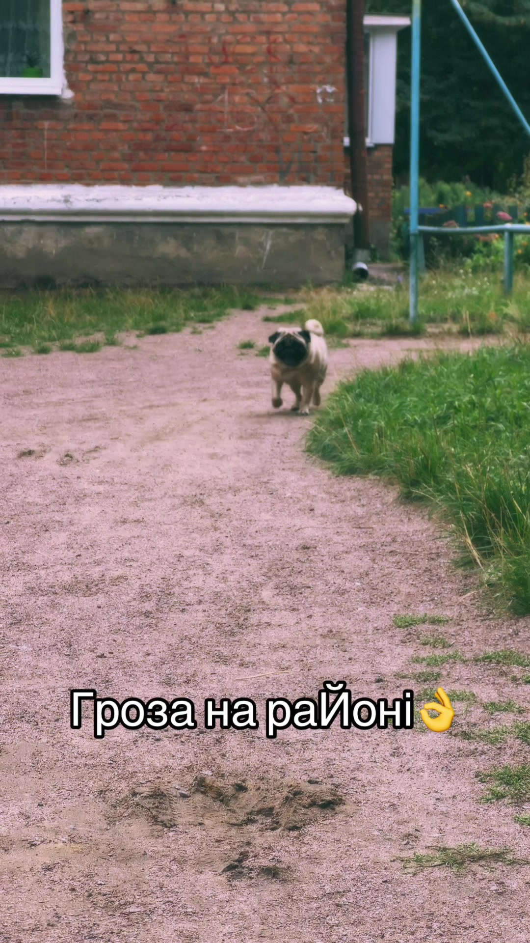 @Iryna Rymar