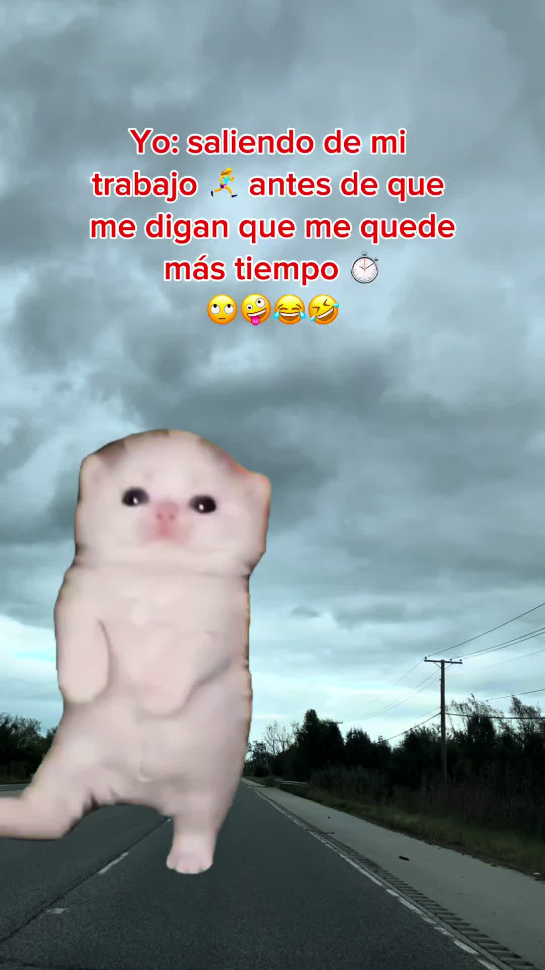 @๐ Paloma Rodriguez ๐ฒ๐ฝ