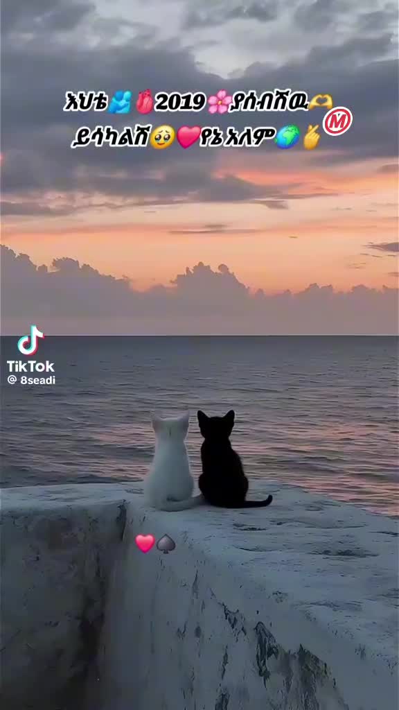 @ትንሿነኚ❤የገነቴዋ