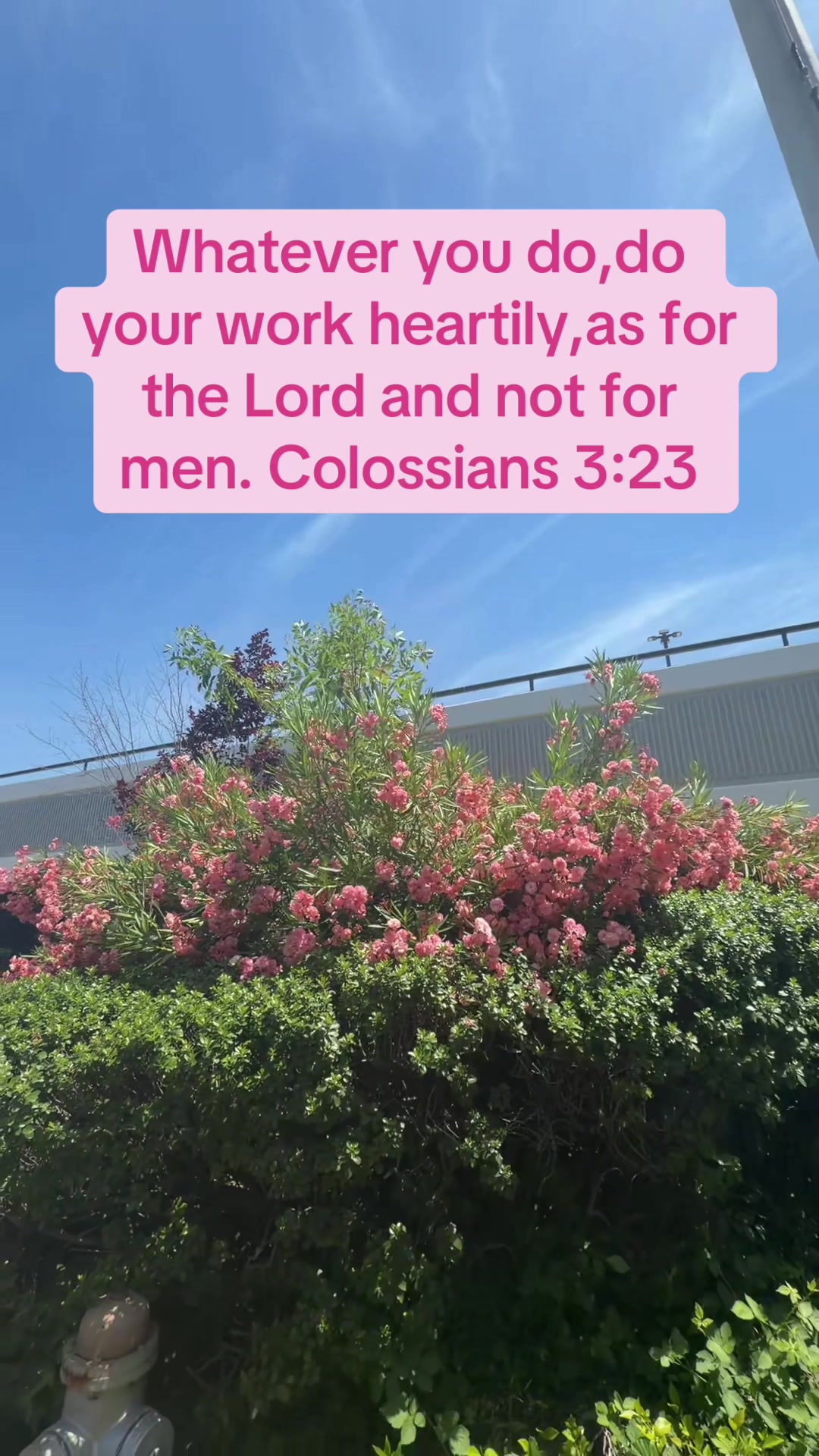 @Celeste Roseberry