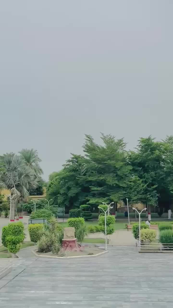 @Abdullah 💎