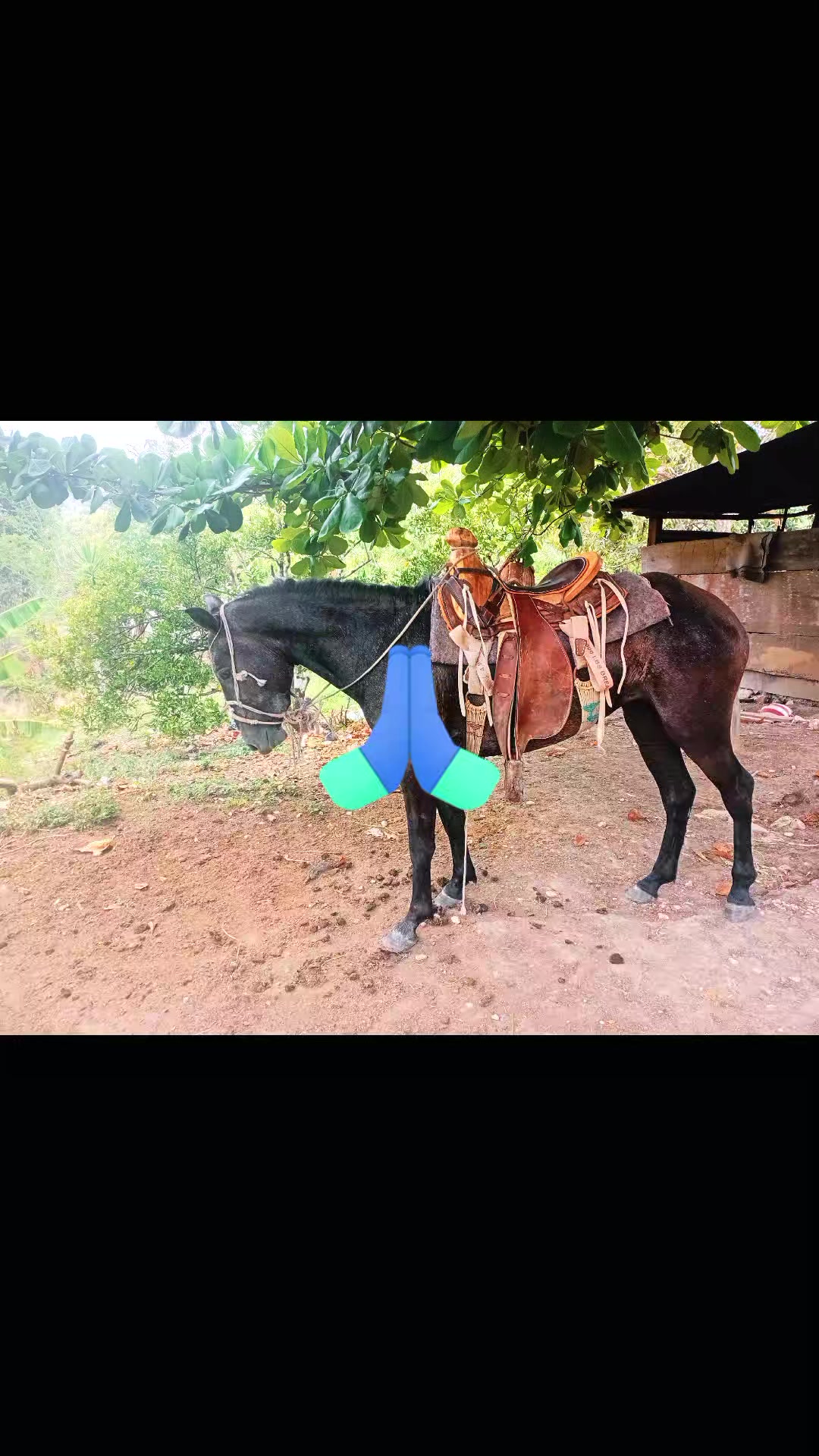 @vaquero 🤠 Lopez