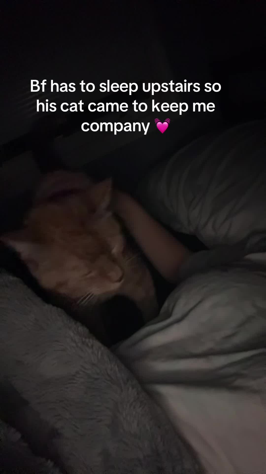 @catwhisperer2007