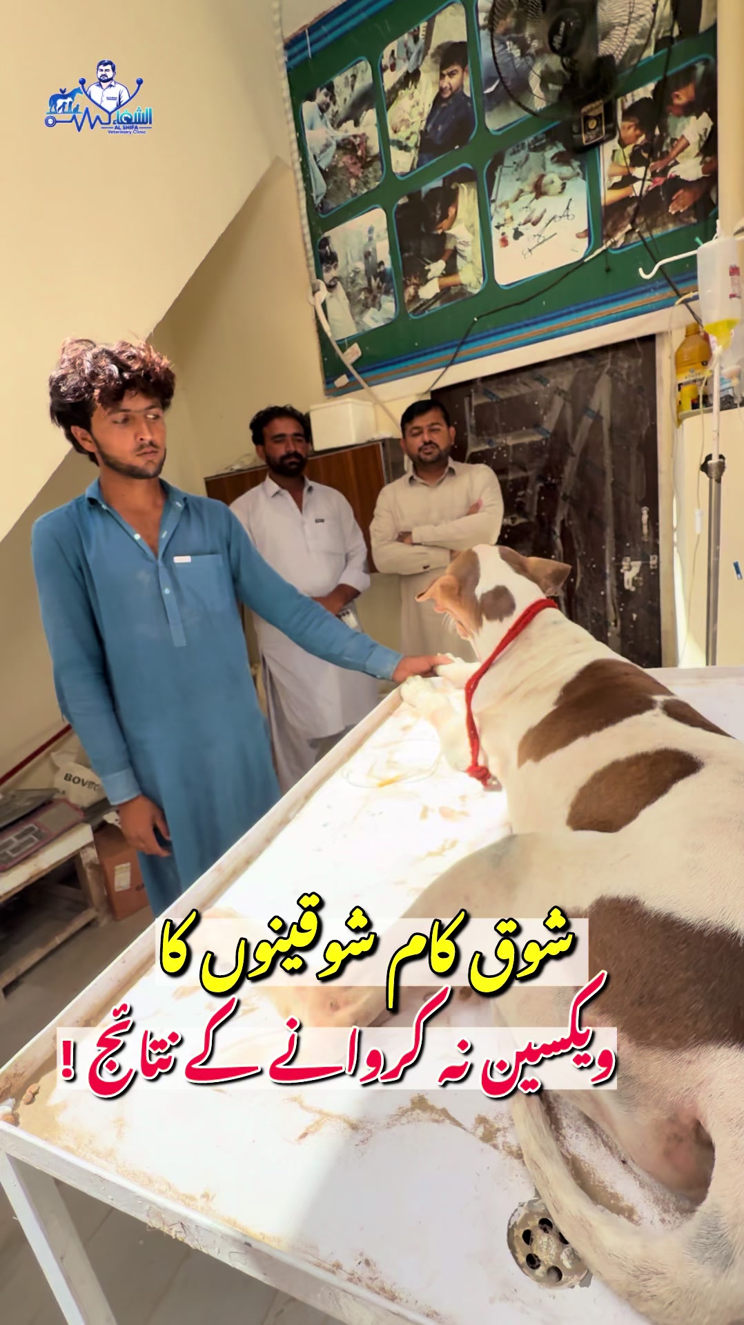 @Dr.Mohsin
