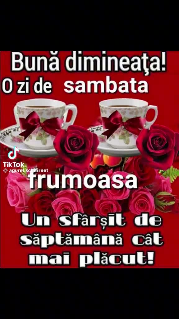 @singura a nimanui!
