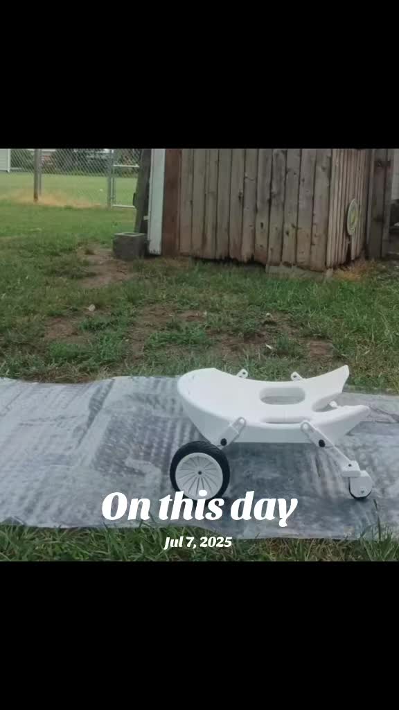@aducknamedgoose