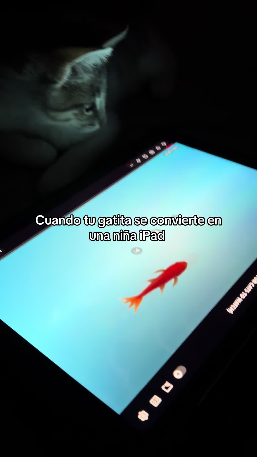 @Patsy Carolina
