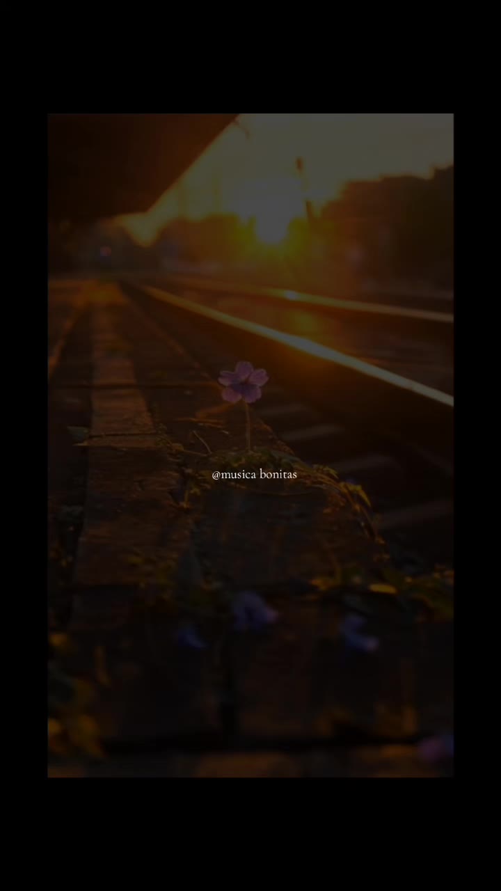 @tus m&uacute;sicas 🎧🎵