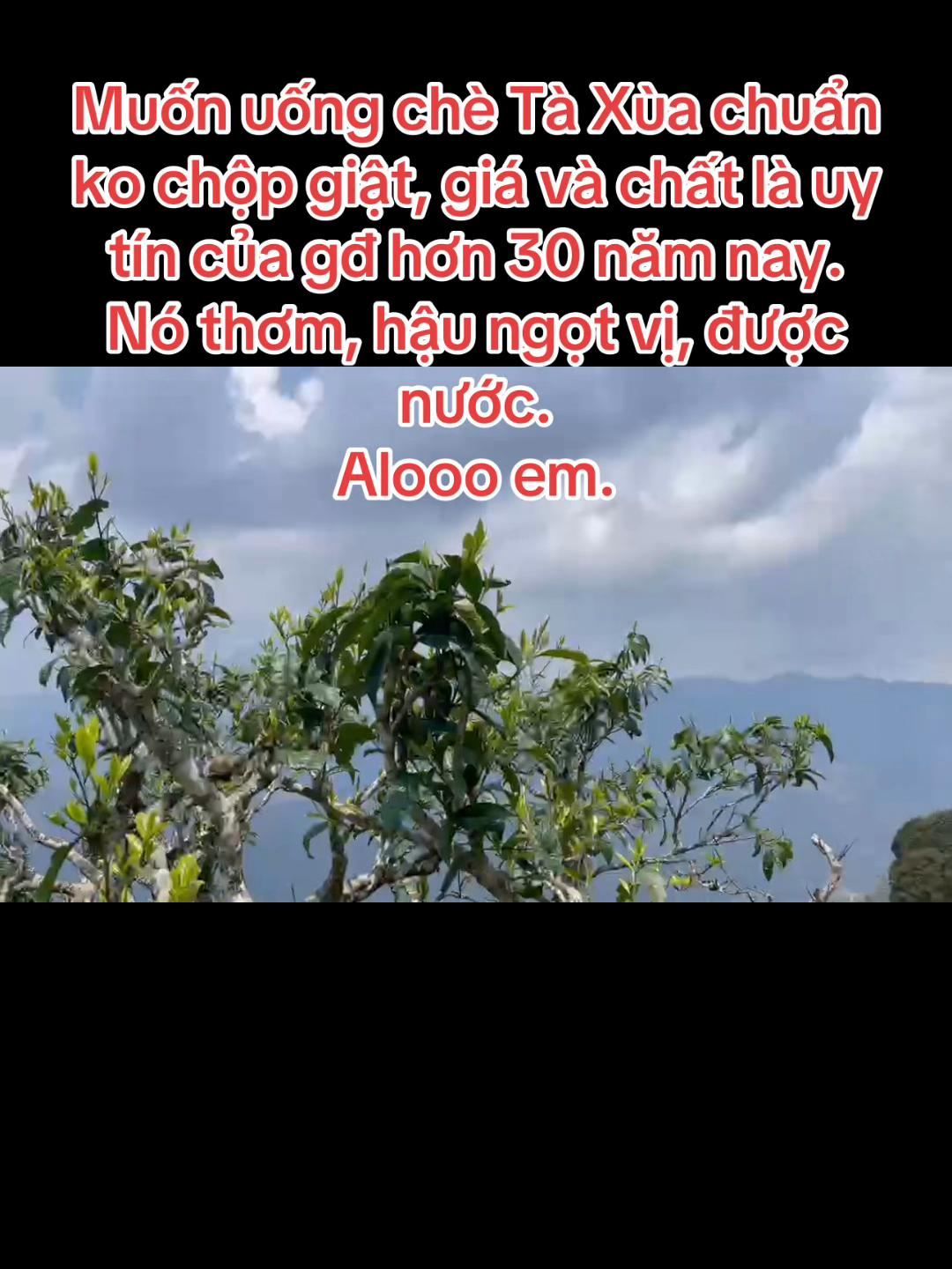 @Hoa sún ( nhí nhố)
