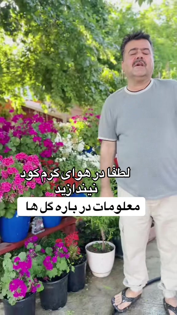 @Rahimi