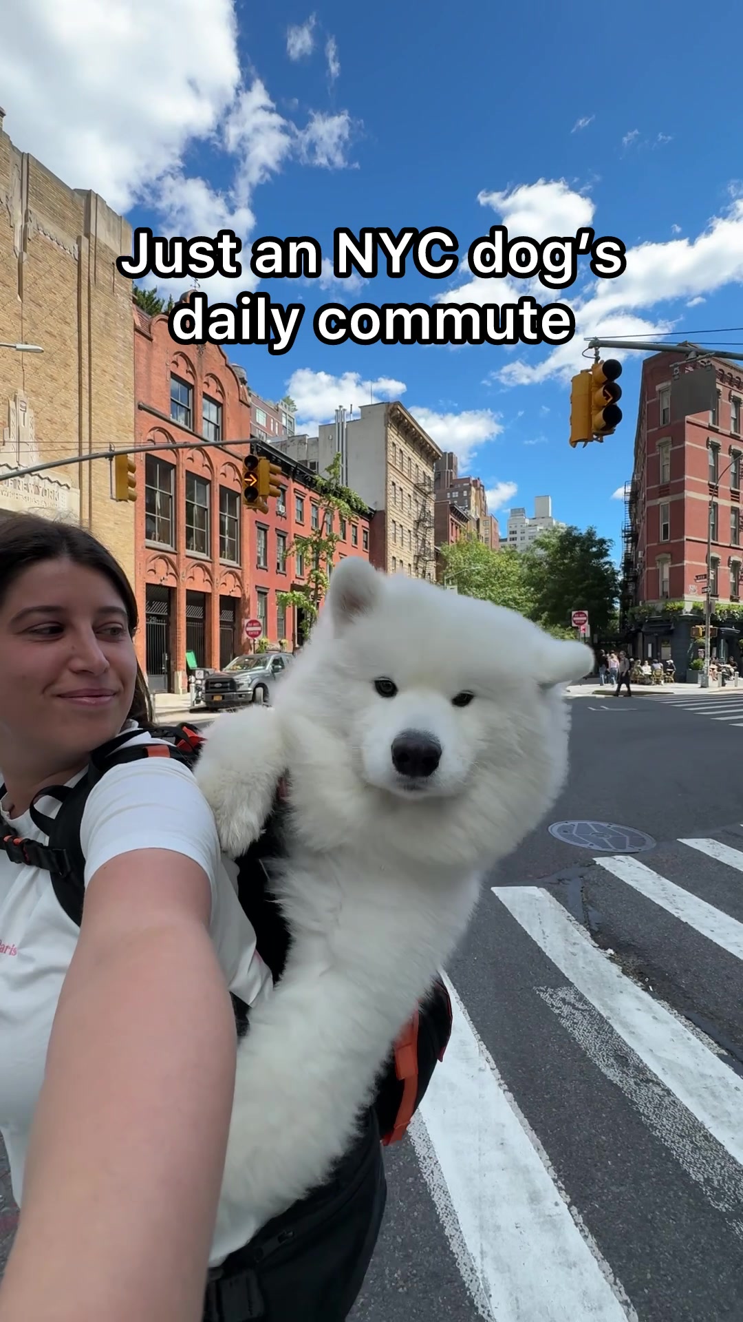 @littlebearlumi