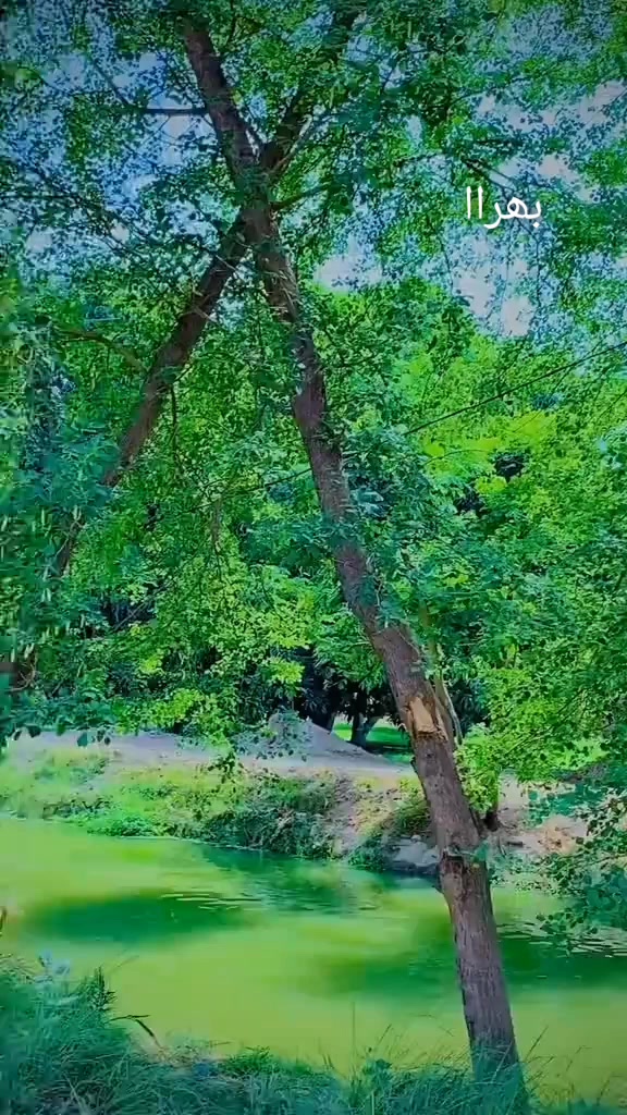 @KULACHI🇩🇯۳۱۳