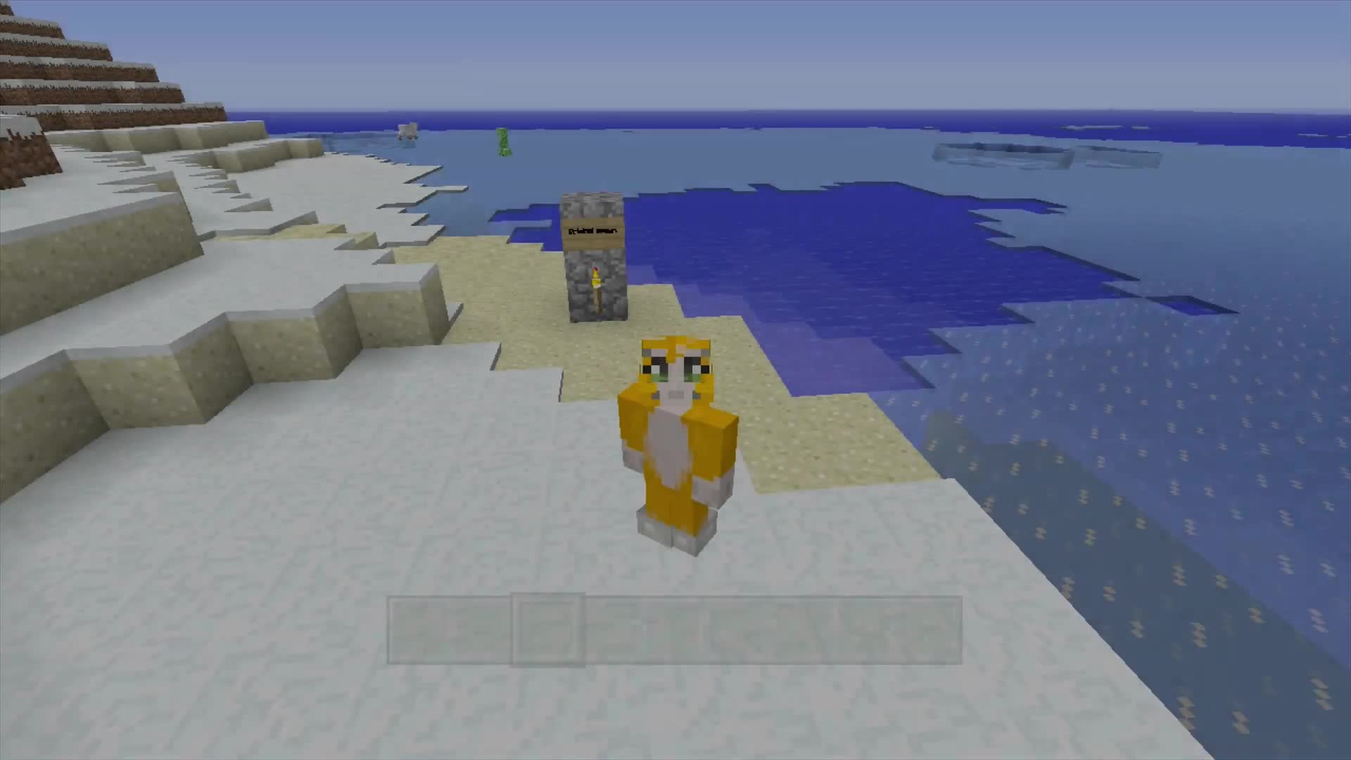 @Stampy Cat