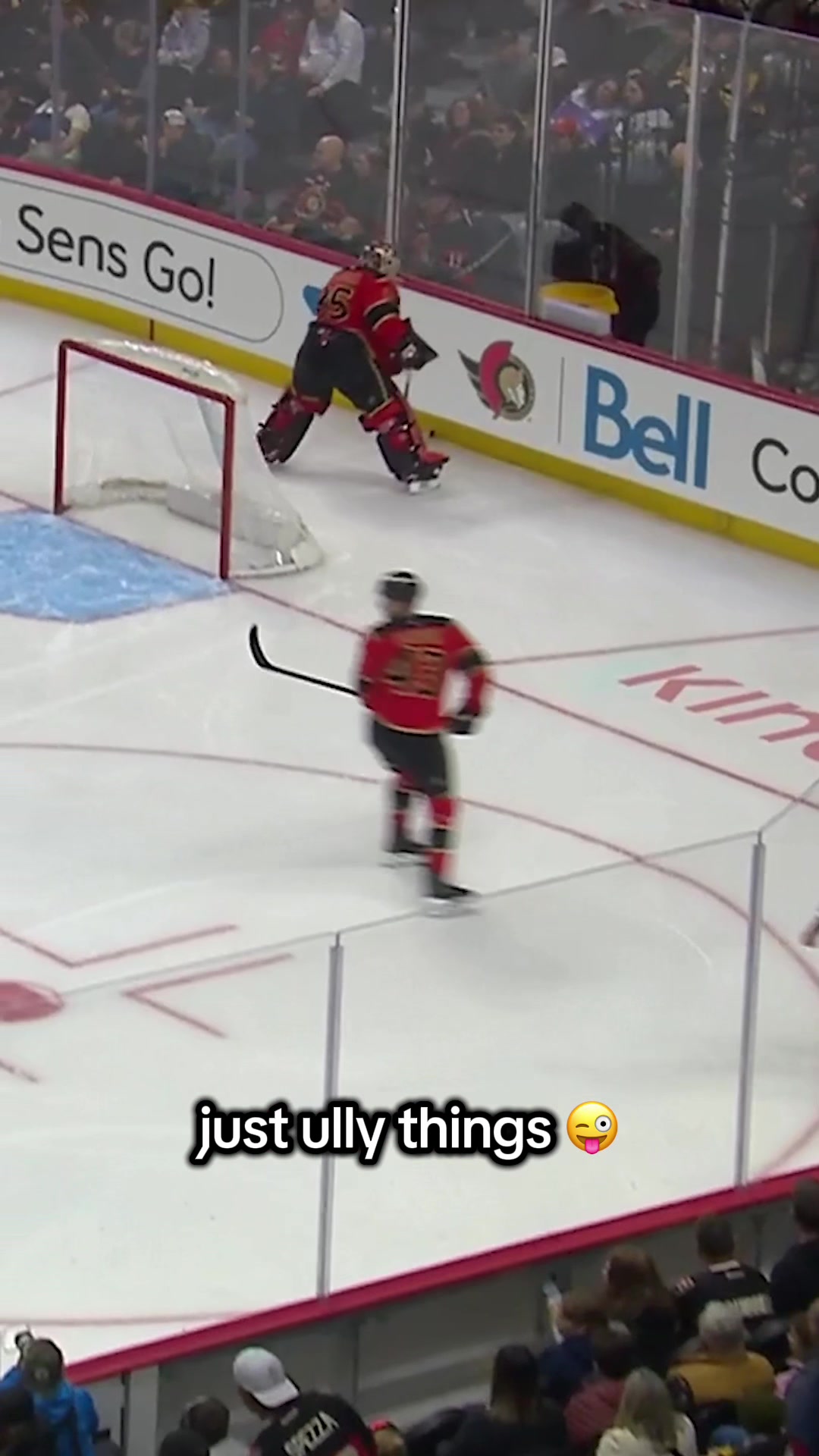 @Ottawa Senators