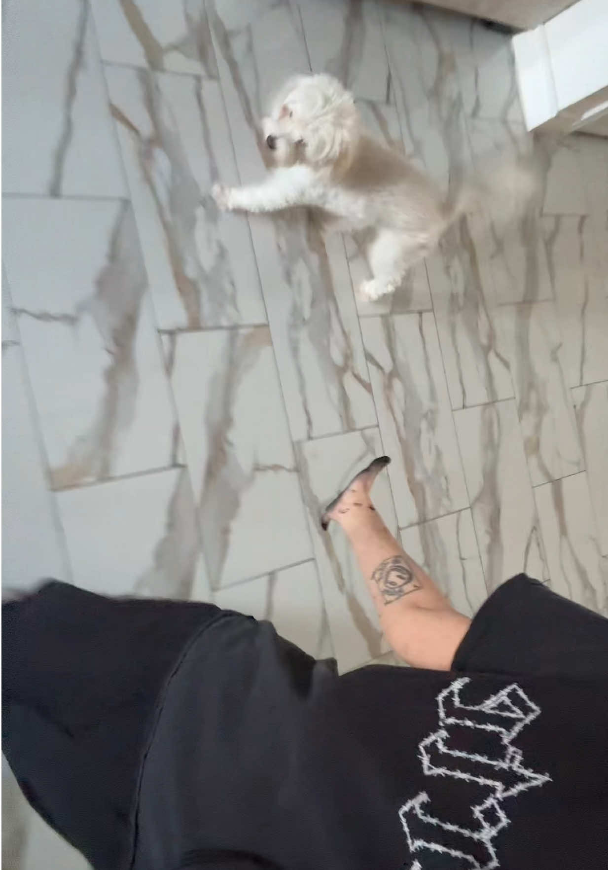 @Deth