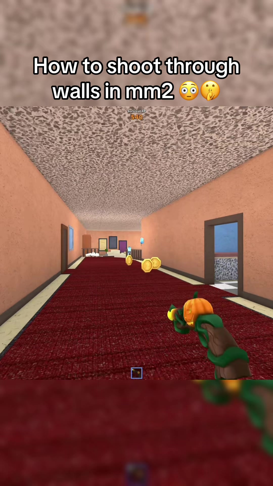 @Cliplife