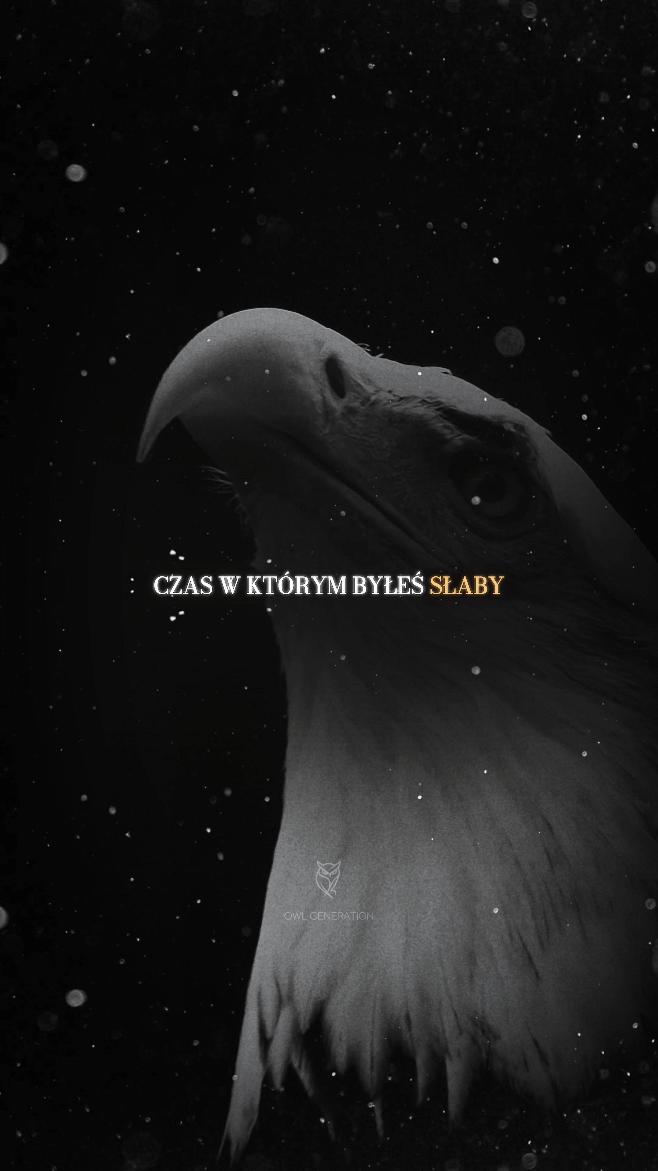 @OwlGeneration🦉🌙
