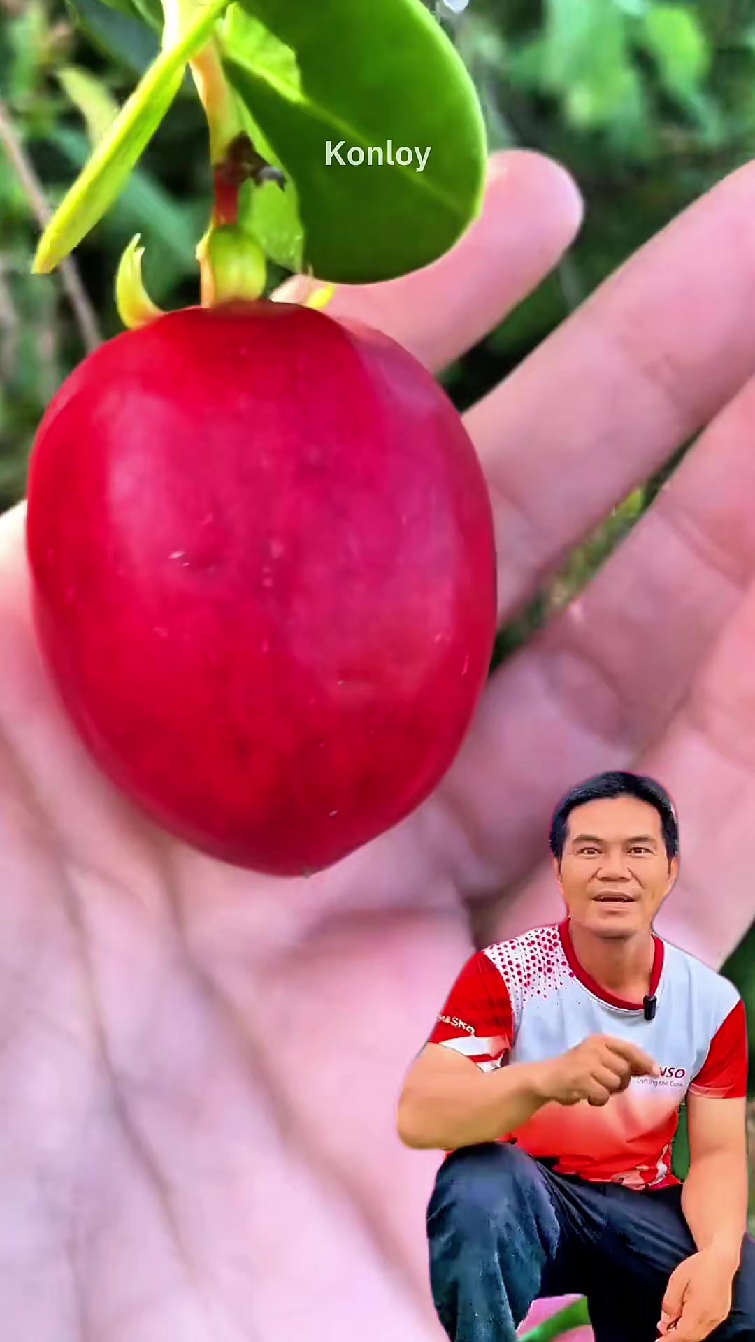 @Konloy