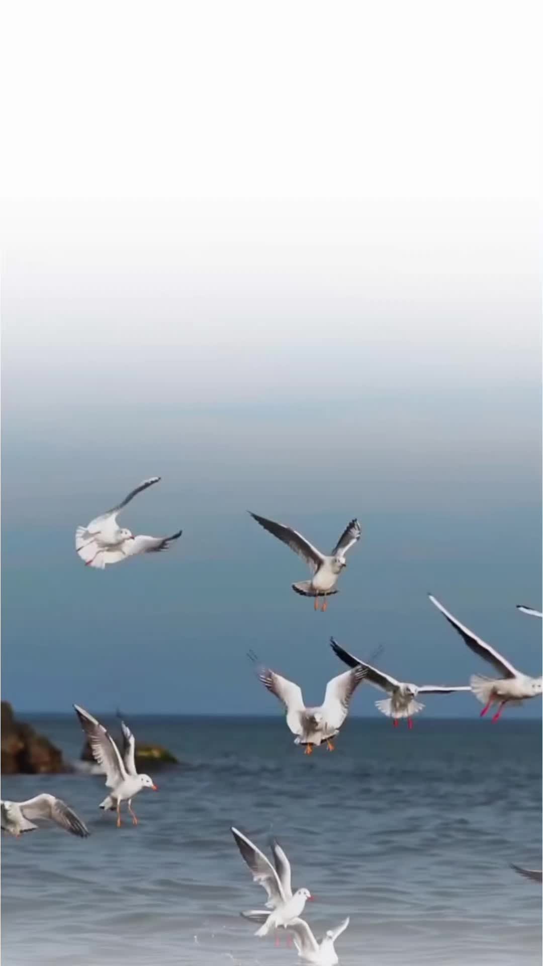 @تنہائی پسند🥂