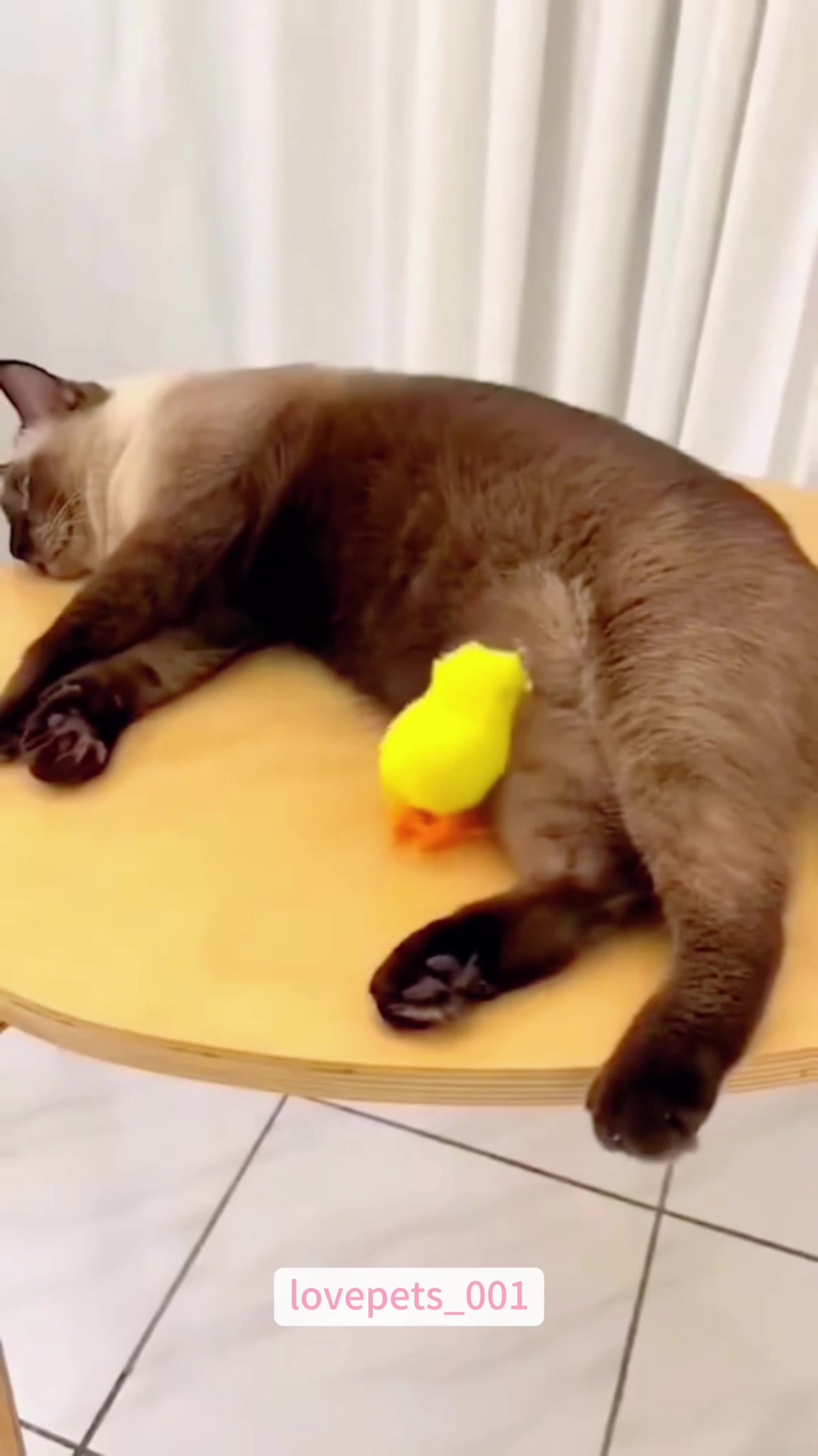 @lovepets_001