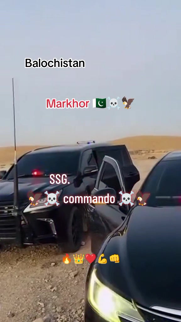 @☠️ SSG ☠️