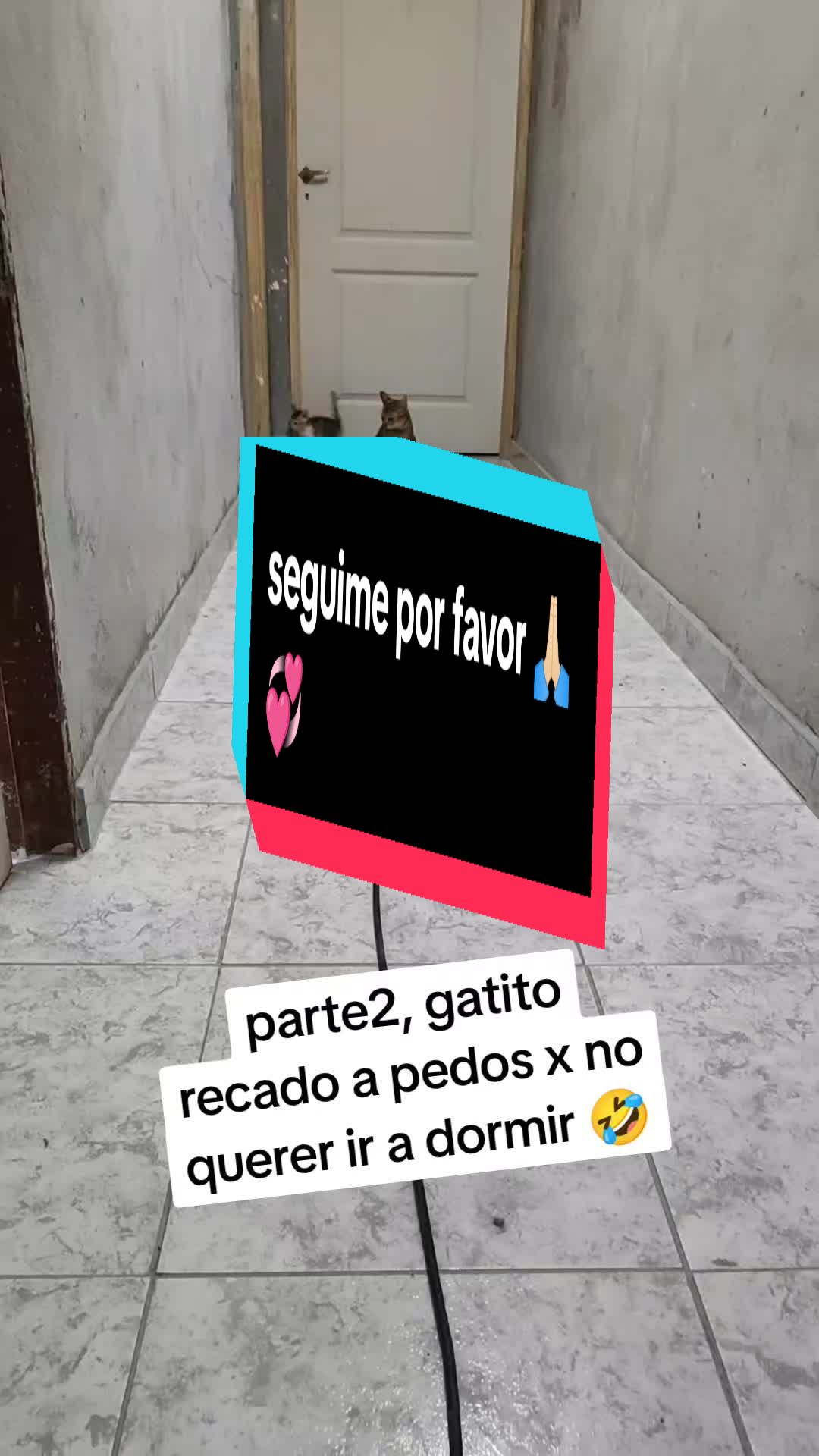 @Carla.ruiz00✔️