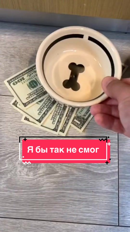 @Йорк Донни 🇺🇦