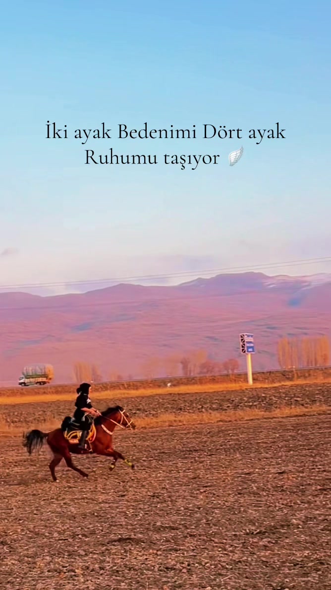 @HarzemŞah