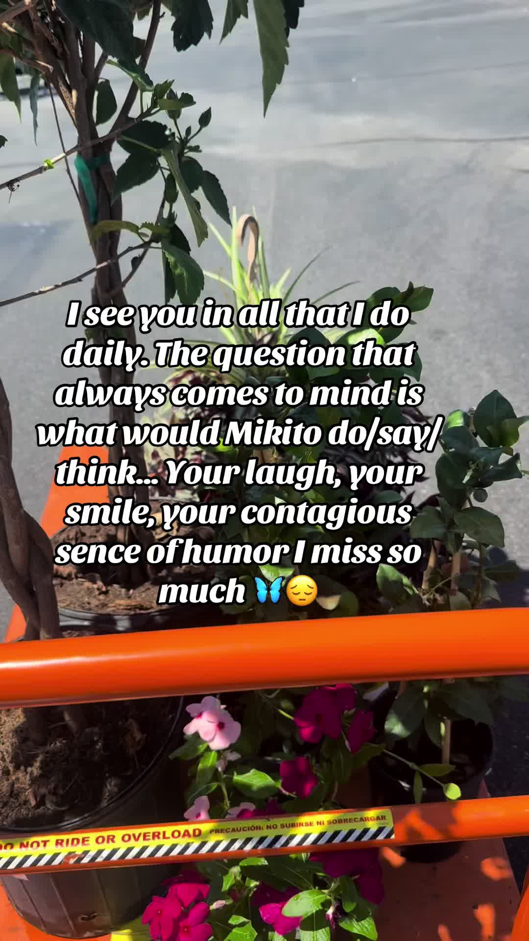 @Lifechanger