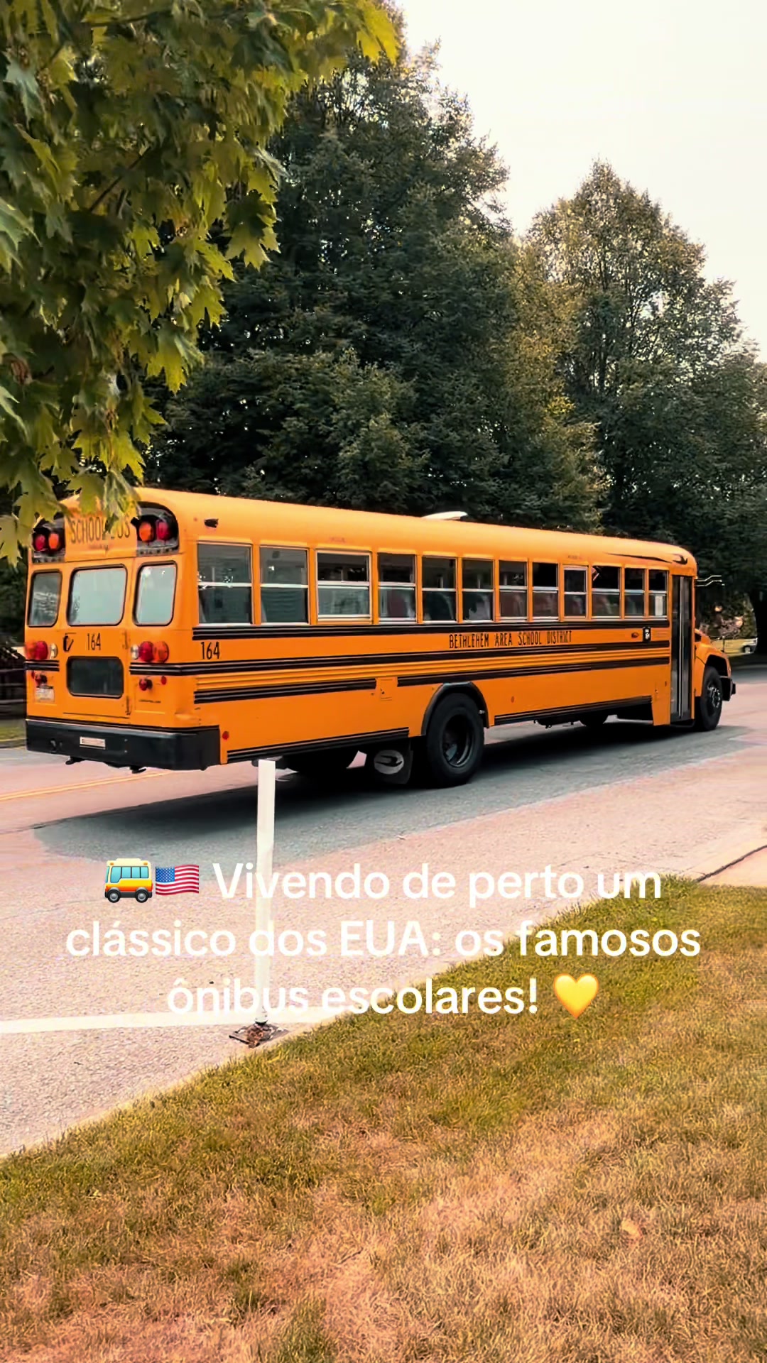 @drika2274