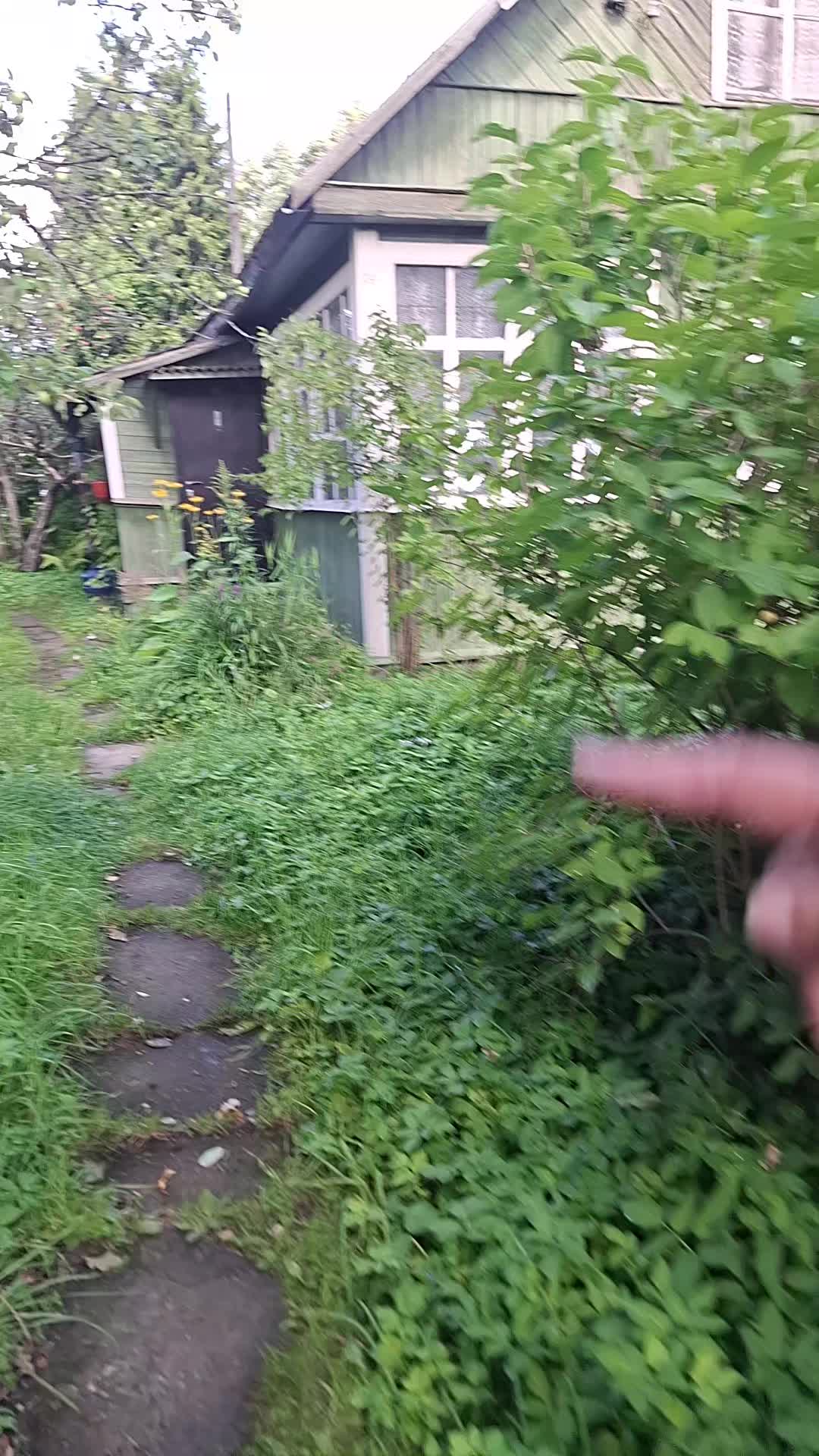 @бахром