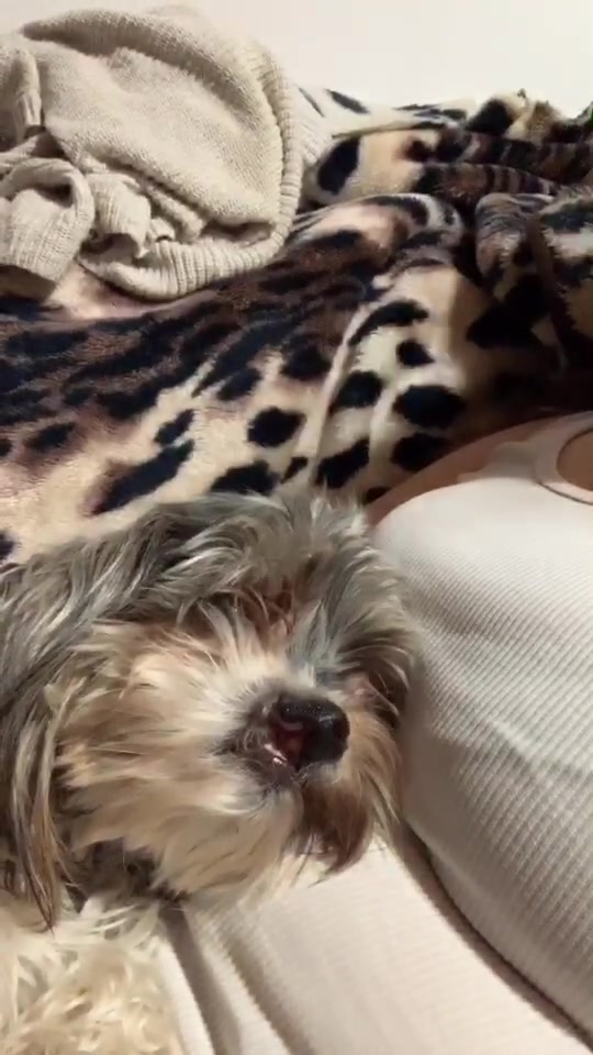 @Shay