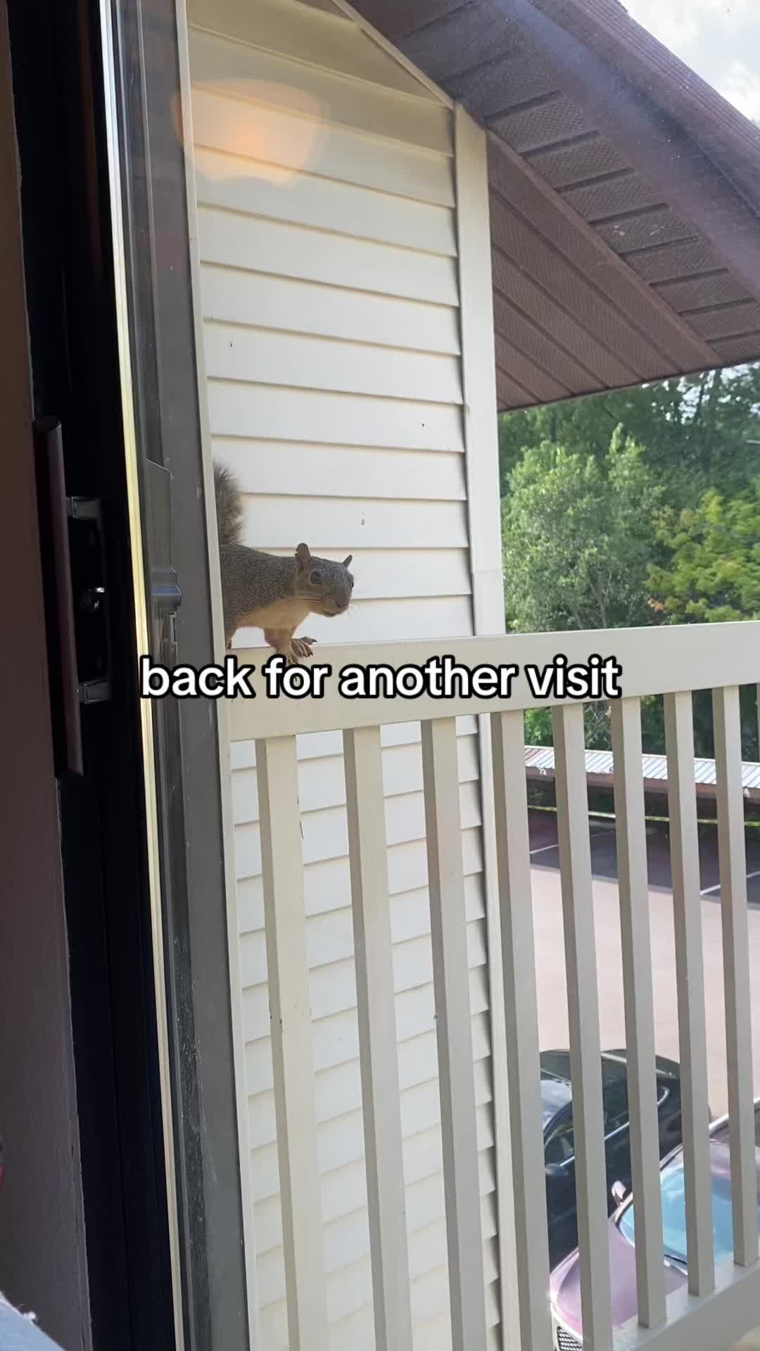 @Jamie Marchant