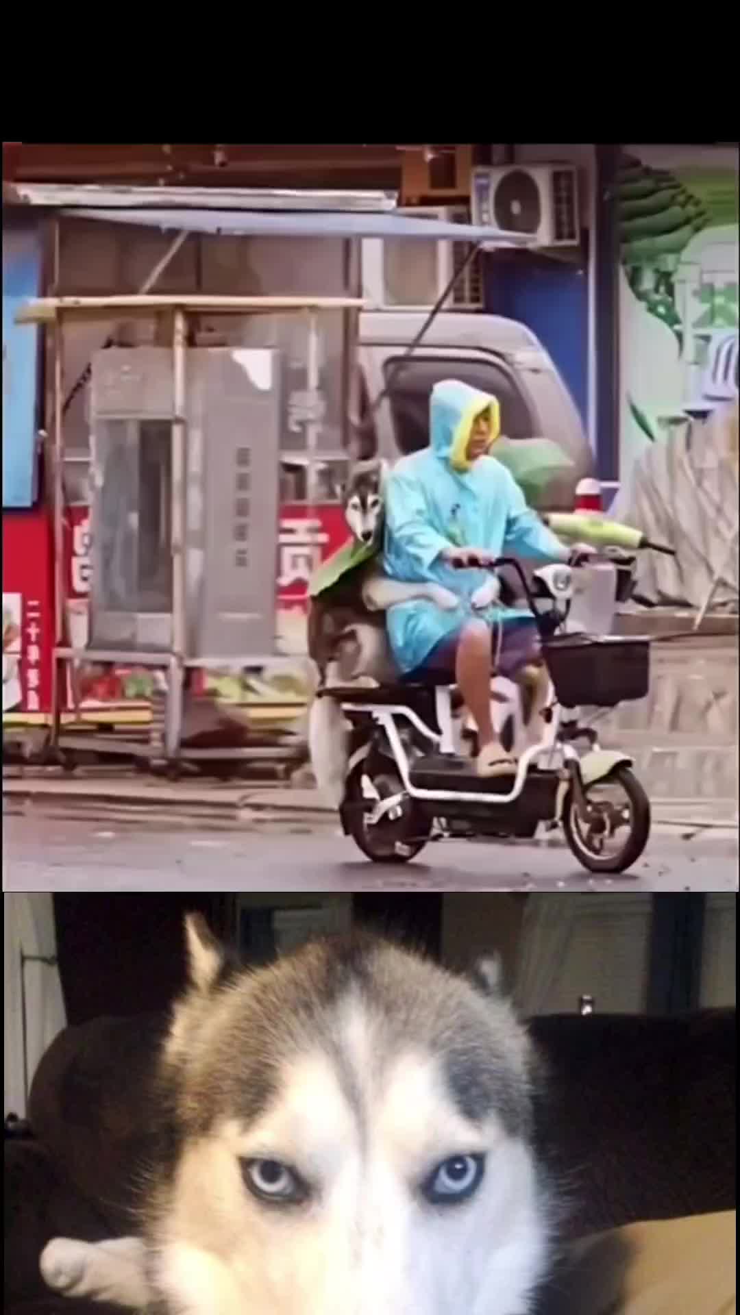 @Nr1