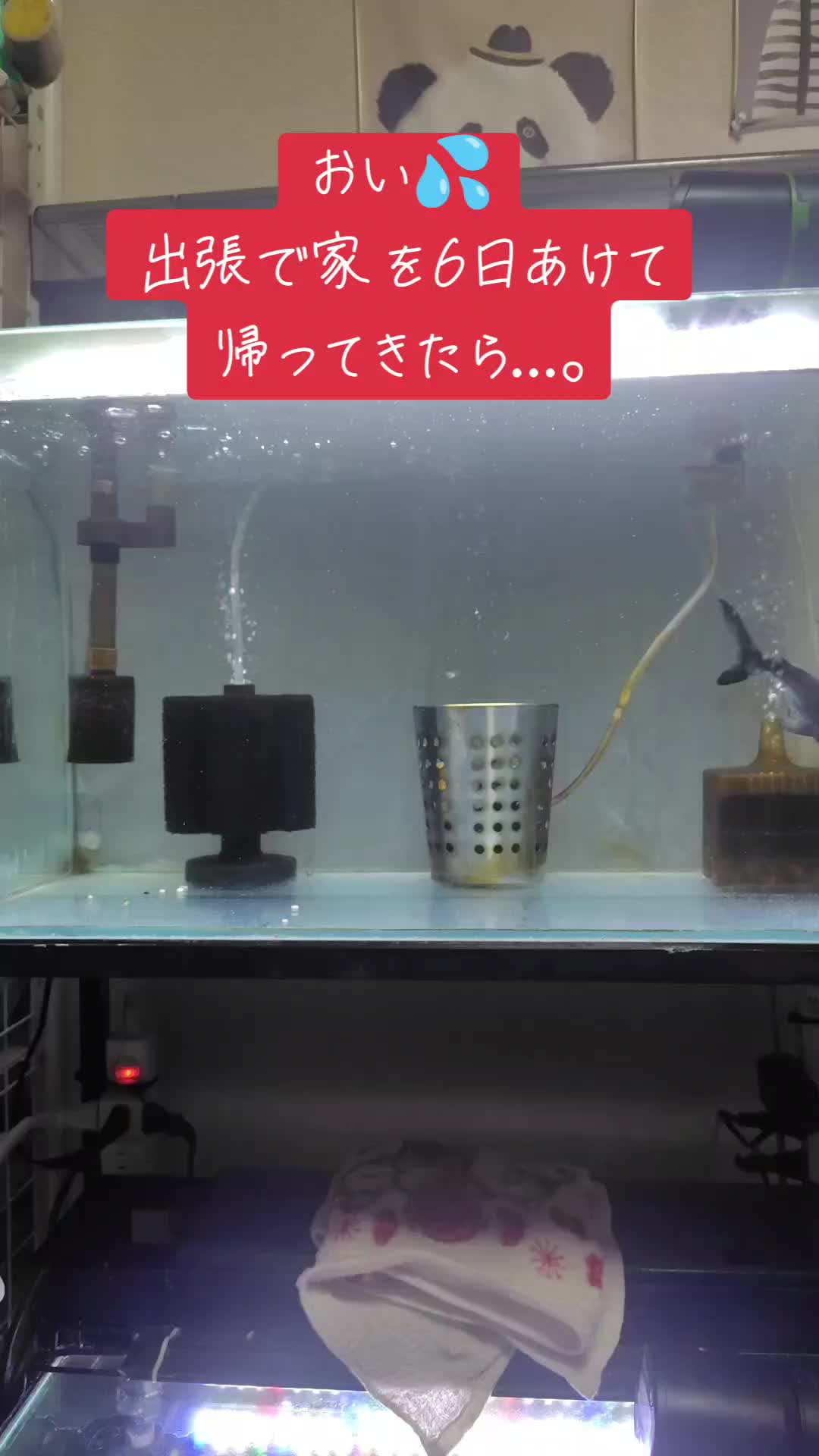 @オギマ