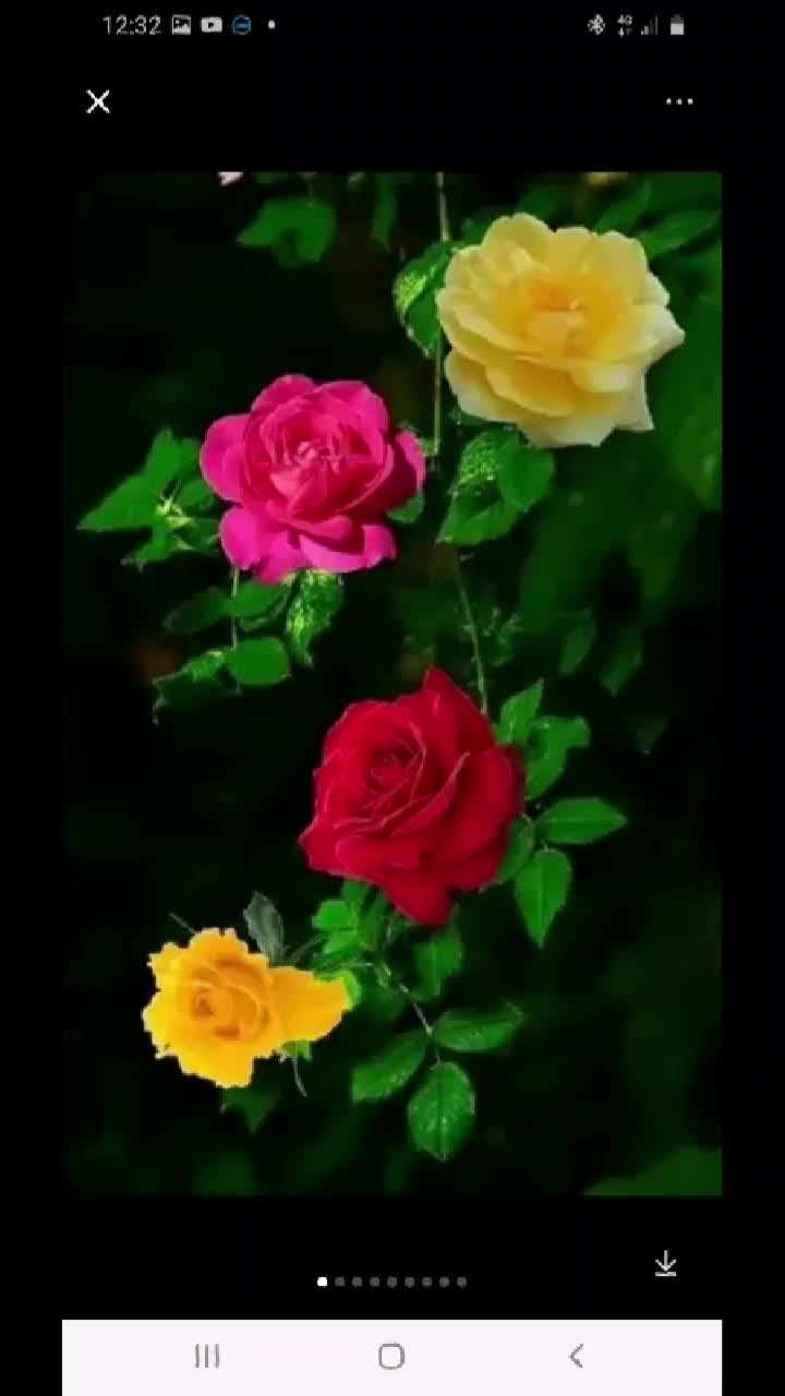 @user7562193599283