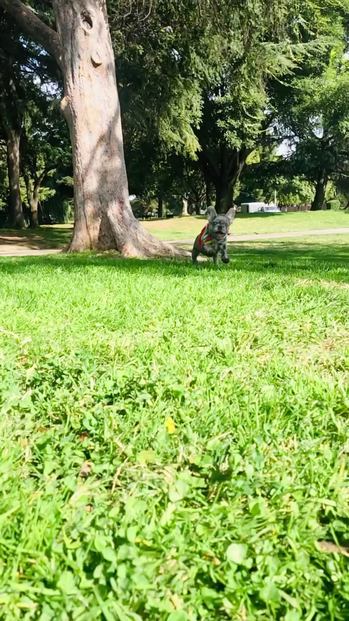 @☮︎︎