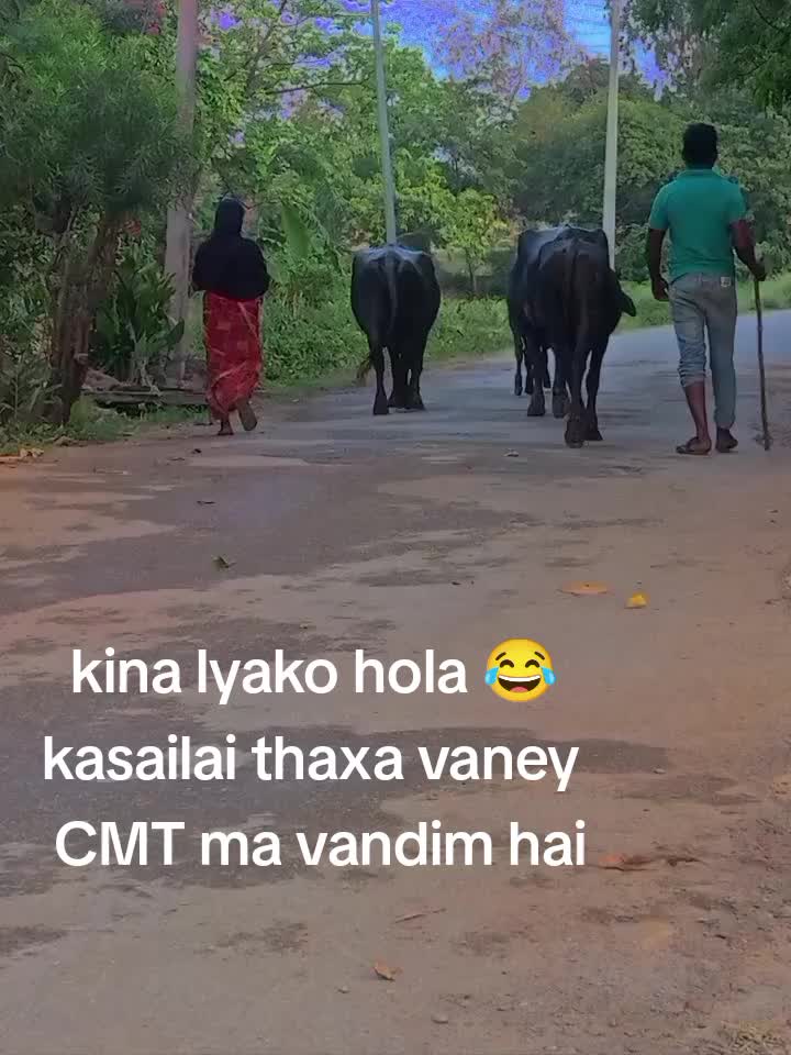 @mohanthapa4321