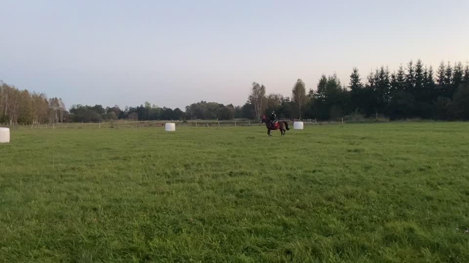 @Końska Grupa🐎